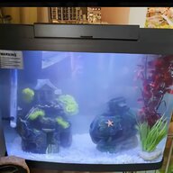juwel aquarium fish tank for sale
