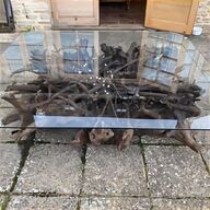 tree root table for sale