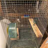chinchilla cage for sale