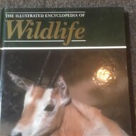 illustrated encyclopedia wildlife for sale