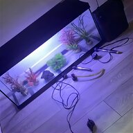 3ft fish tank for sale