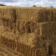 wheat straw bales for sale