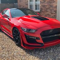 shelby gt500 car for sale