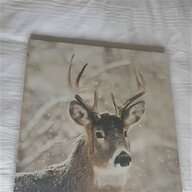 stag canvas for sale