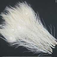 real peacock feathers for sale