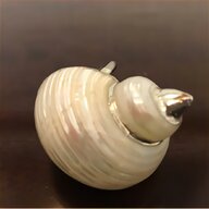 mother pearl shell for sale