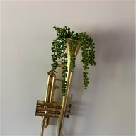 herald trumpet for sale