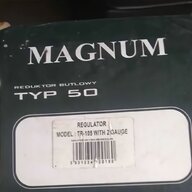 magna model for sale