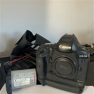 canon 1dx for sale