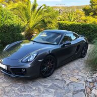 cayman for sale