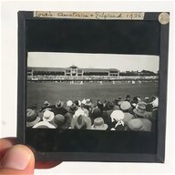 cricket photo for sale