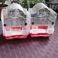 budgies pets for sale