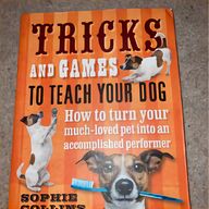 greyhound books for sale