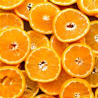 tangerine dream for sale