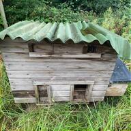 poultry coops for sale