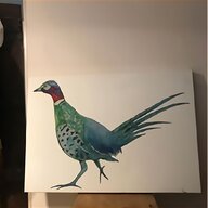 pheasant for sale