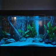 juwel aquarium for sale