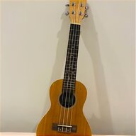 concert ukulele for sale