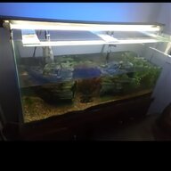 large marine fish tanks for sale