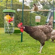 eglu chicken coop for sale