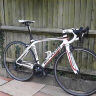 cannondale evo for sale