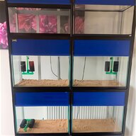 reptile rack for sale