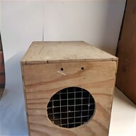 ferret box for sale
