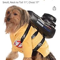 dog halloween costumes for sale