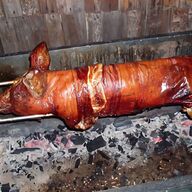 pig roast for sale