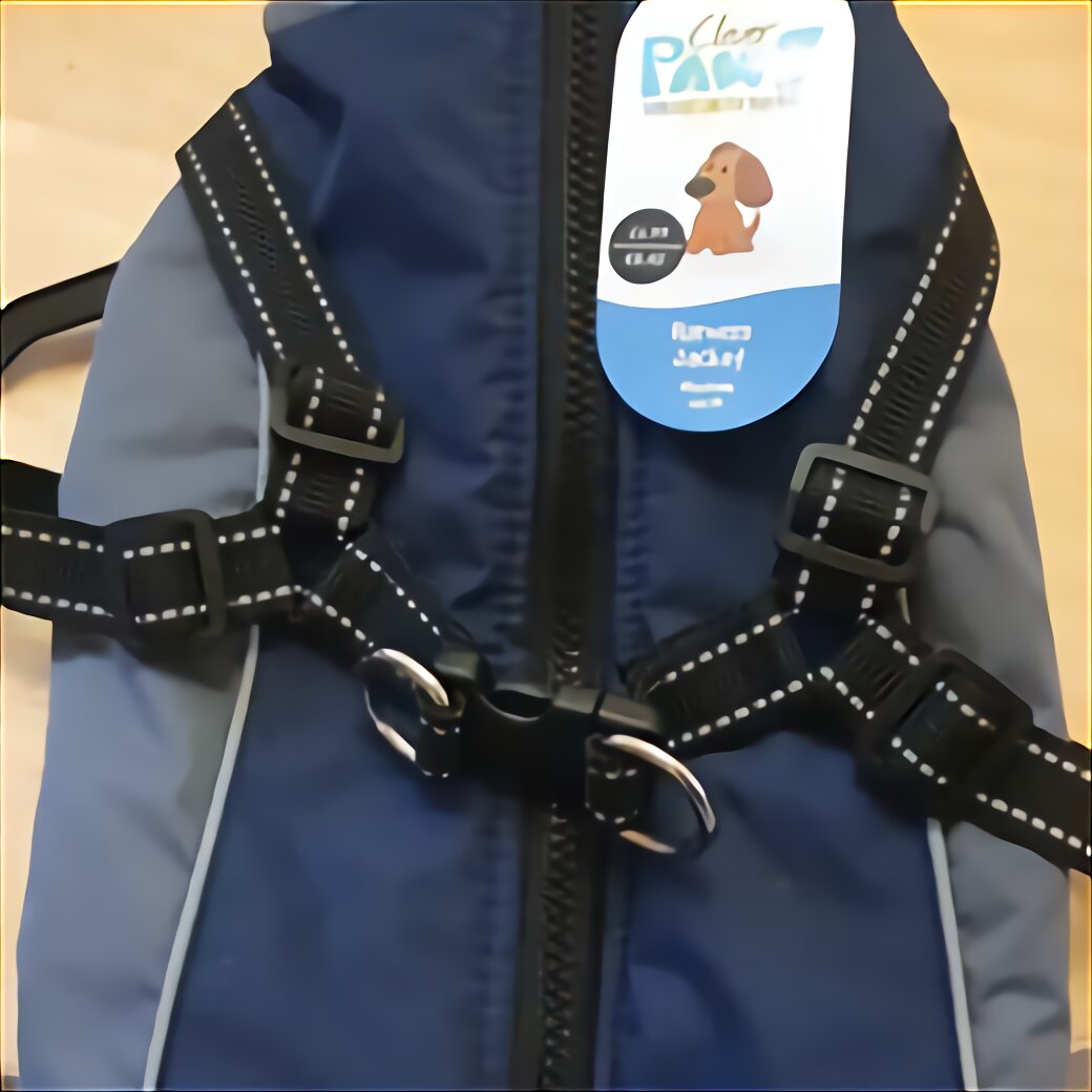 Trotting Harness for sale in UK | 19 used Trotting Harness