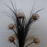 small peacock feathers craft for sale