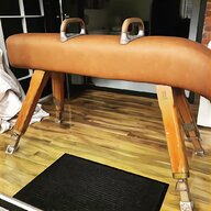 gymnastics pommel horse for sale