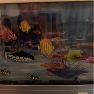 fish lamp for sale