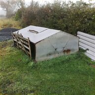 lamb feeder for sale