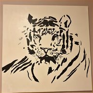 white tiger for sale