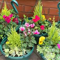 flower baskets for sale