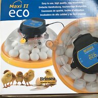 brinsea incubator for sale