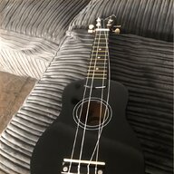 ukulele case for sale