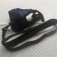 ferret harness for sale