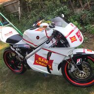 cagiva canyon 500 for sale