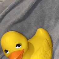 yellow rubber duck for sale
