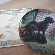 franklin mint labrador plates for sale