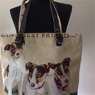 jack russells for sale