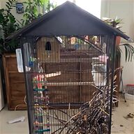 african grey bird cages for sale