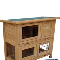 guinea pig homes for sale