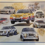 rally prints for sale