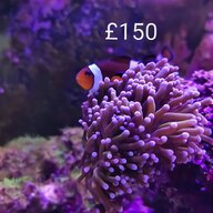aquarium substrate for sale