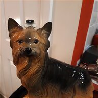 yorkie dog for sale