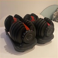 ear weights for sale