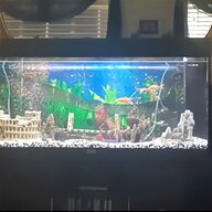 4 foot fish tank for sale